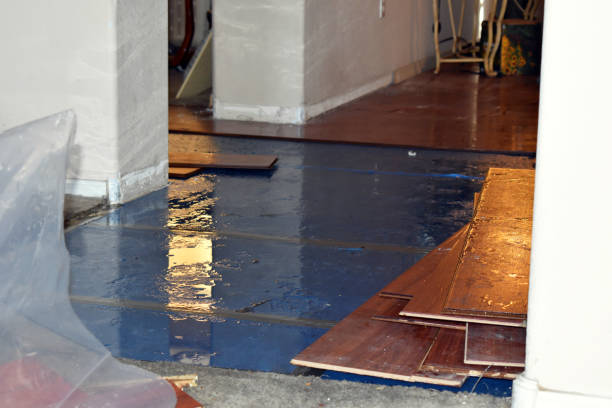 Professional Basement Flood Cleanup technician working in Mont Belvieu, TX